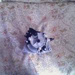 Alternator Ford Transit 2.5/ 63324293